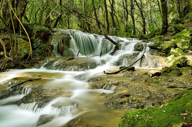 绿色山间小溪流树林风景摄影图片