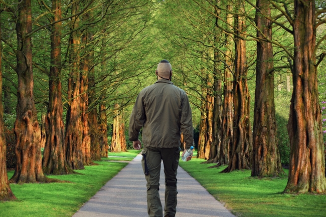 绿色春天树林光头男散步背影图片