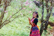 春天桃花树下的传统服饰美女图片