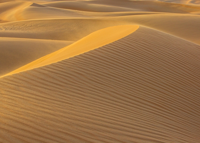金黄色沙漠风景摄影图片