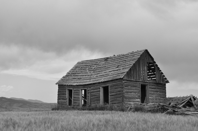 黑白风格荒野房屋建筑摄影图片