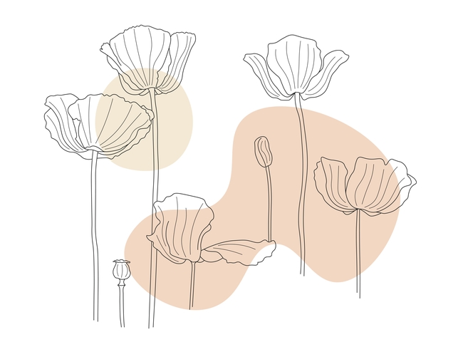 线条艺术花卉插画摄影图片