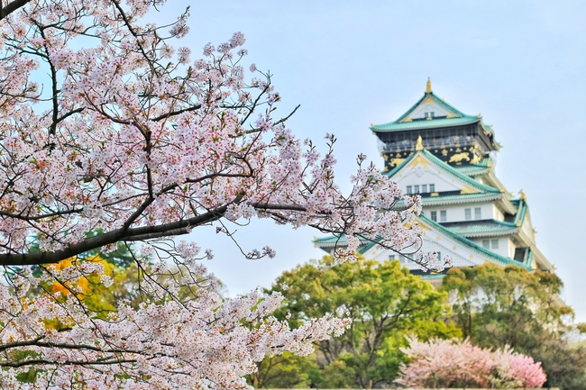 日本建筑粉色樱花摄影图片