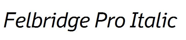 Felbridge Pro Italic