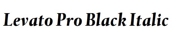 Levato Pro Black Italic
