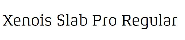Xenois Slab Pro Regular