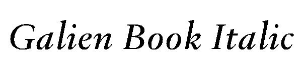 Galien Book Italic