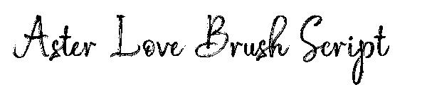 Aster Love Brush Script
