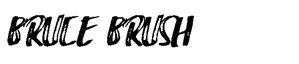 Bruce Brush字体