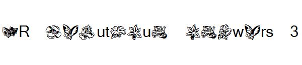 KR Beautiful Flowers 3字体