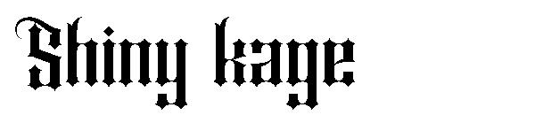 Shiny kage字体