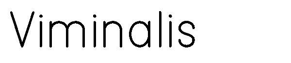 Viminalis字体