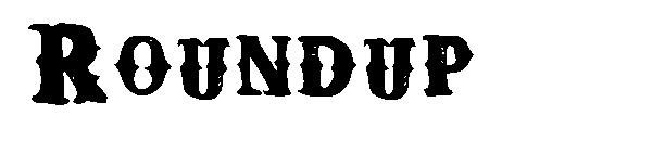Roundup字体