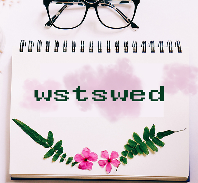 wstswed字体