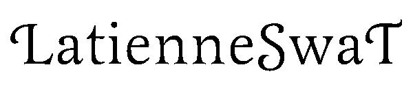 LatienneSwaT字体