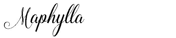 Maphylla字体