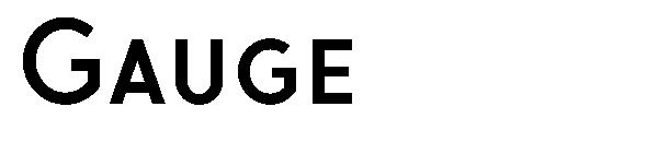 Gauge字体