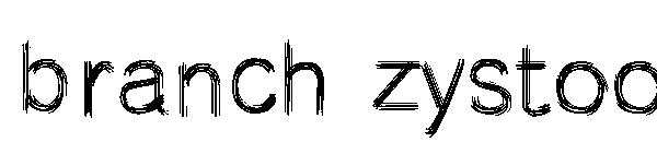 branch zystoo字体