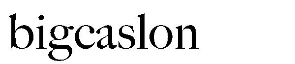 bigcaslon字体