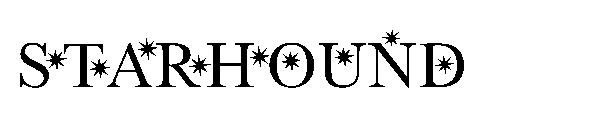 starhound字体