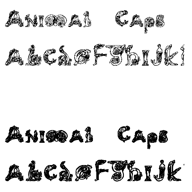 animals字体