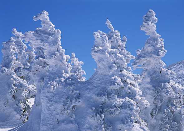 冰天雪地 247