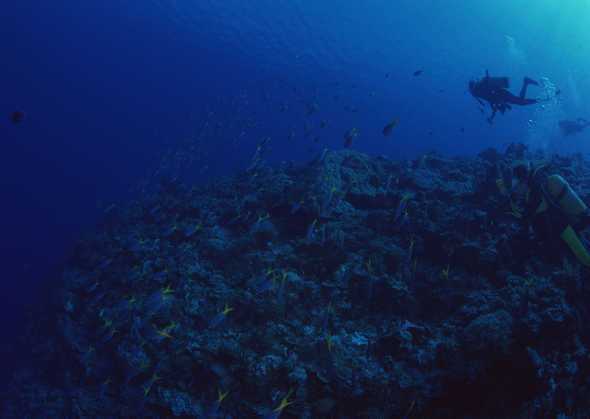 海底世界 42