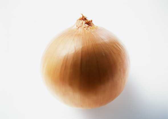 时鲜蔬果 116