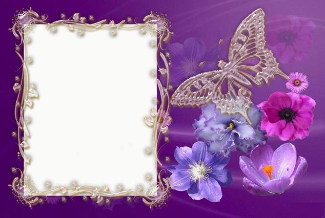 蝴蝶相框素材图片下载