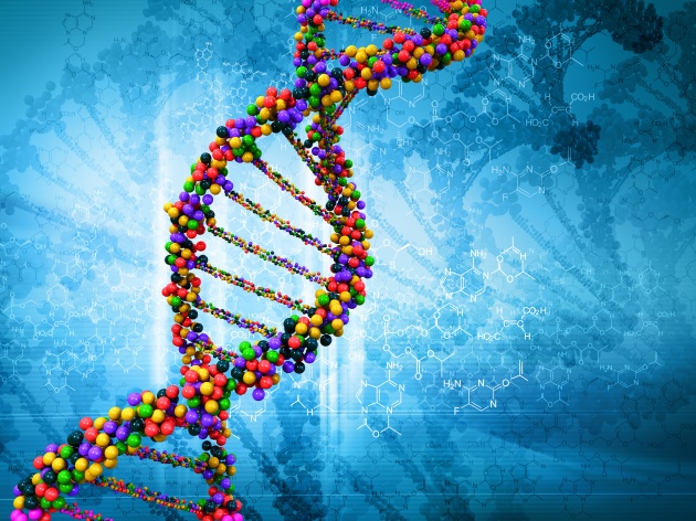 高清DNA基因图片下载下载