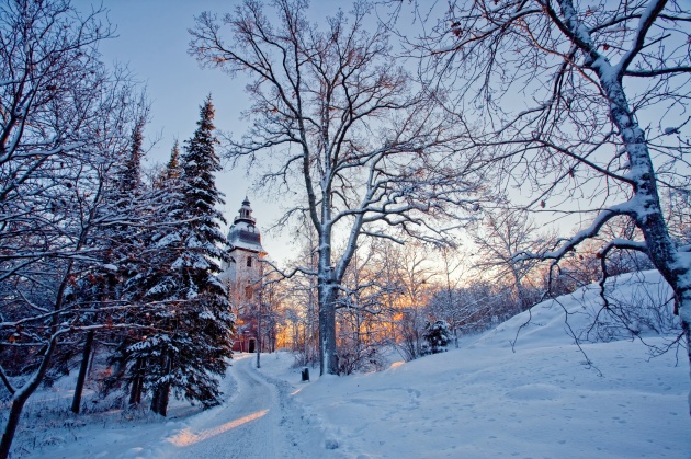 冬季雪景图片下载