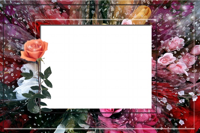 玫瑰花相框高清图片