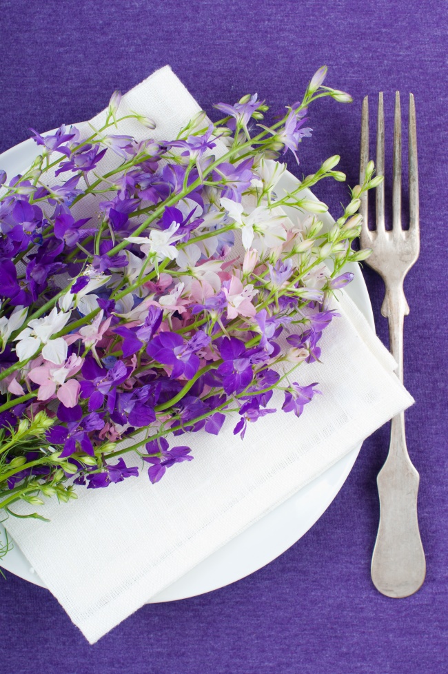 盘子上紫色花朵图片
