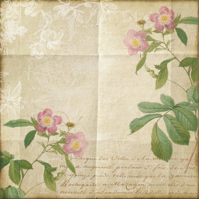复古纸张花卉背景图片