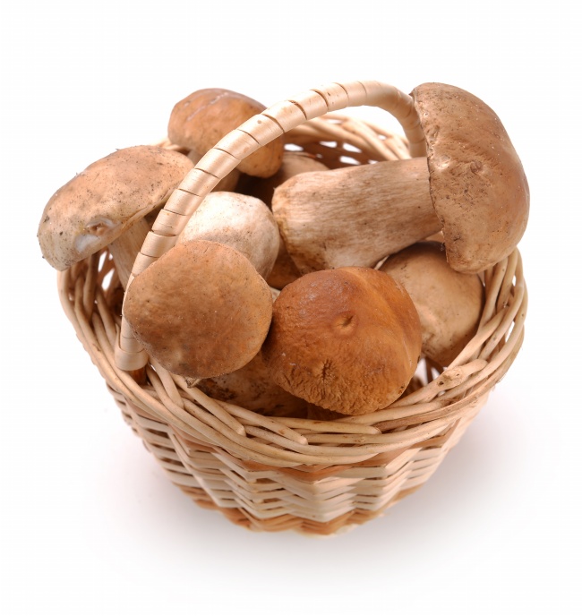 一篮子蘑菇图片