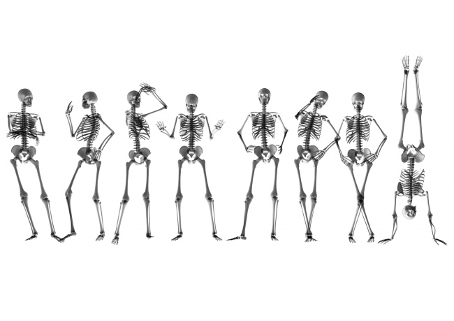 正常人体骨骼结构图
