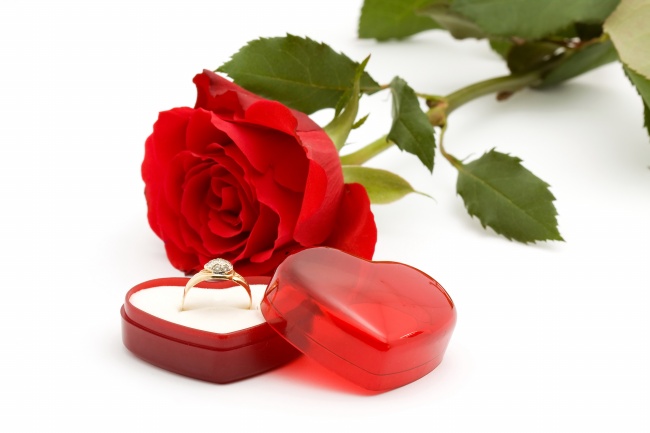 结婚戒指与红色玫瑰花图片