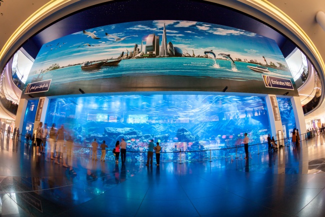 迪拜购物中心水族馆图片