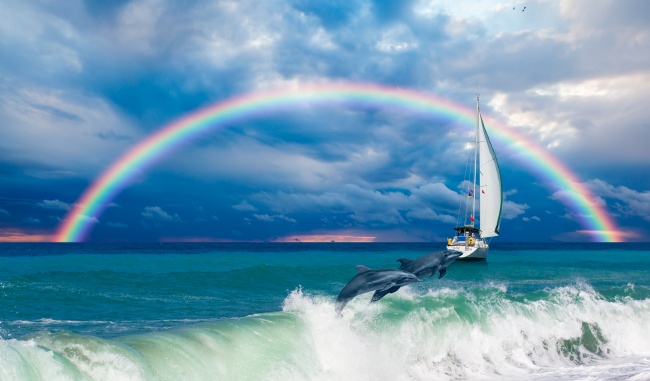 大海帆船彩虹海豚图片