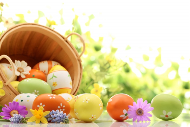 复活节找彩蛋的图片
