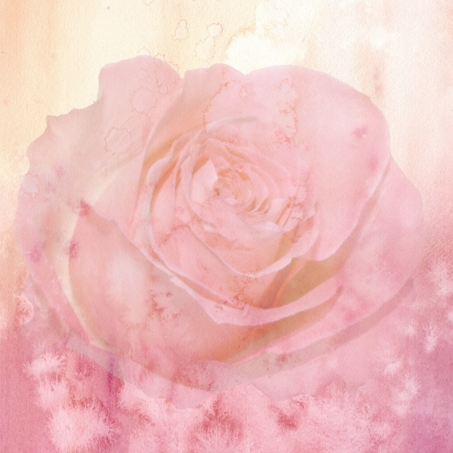水彩玫瑰背景图片