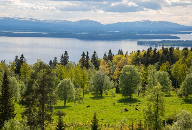瑞典自然风景图片