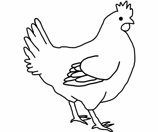鸡的简笔画图片