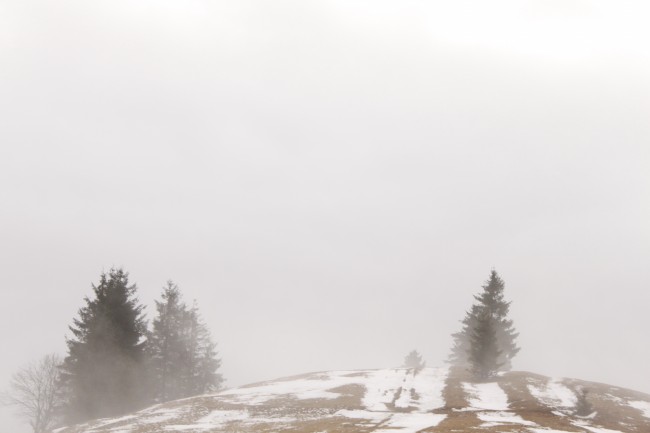迷雾雪景图片