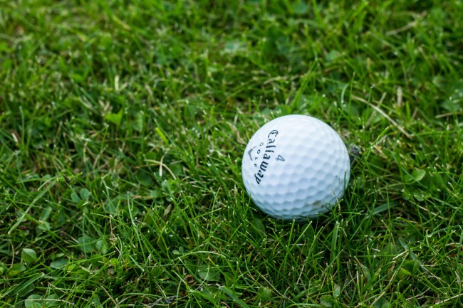 草地高尔夫球图片