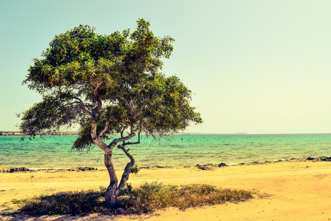 塞浦路斯海边唯美风景