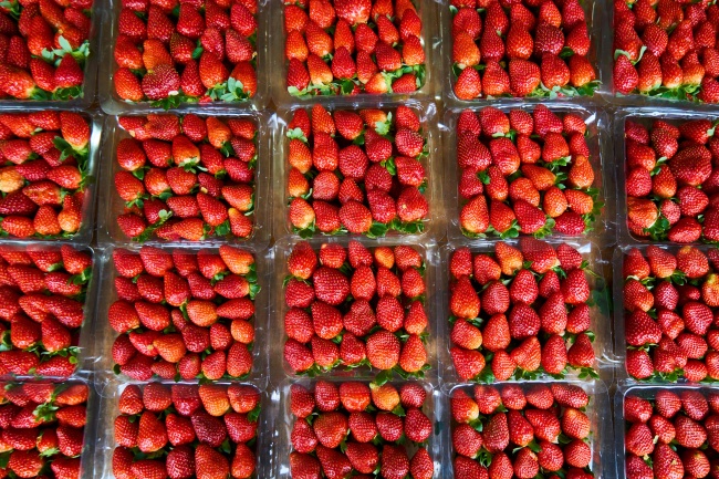 新鲜草莓出售图片