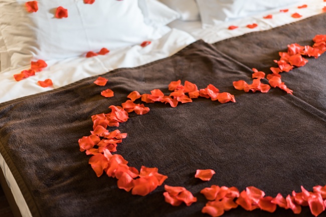 床上浪漫玫瑰花瓣图片