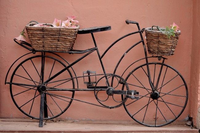 古董自行车图片