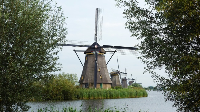 荷兰大风车风景图片